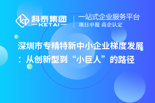 <a href=http://www.cfu6.com/shenzhen/ target=_blank class=infotextkey>深圳市專精特新</a>中小企業(yè)梯度發(fā)展:從創(chuàng)新型到“小巨人”的路徑