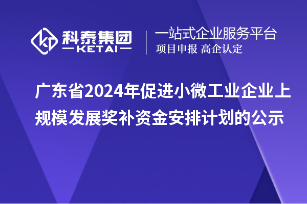 廣東省2024年促進(jìn)小微工業(yè)企業(yè)上規(guī)模發(fā)展獎補資金安排計劃的公示