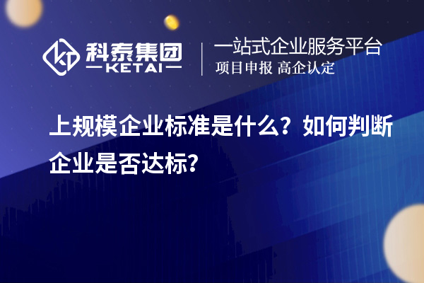 上規(guī)模企業(yè)標準是什么？如何判斷企業(yè)是否達標？