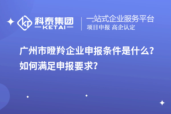 廣州市瞪羚企業(yè)申報條件是什么？如何滿足申報要求？