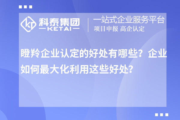 瞪羚企業(yè)認(rèn)定的好處有哪些？企業(yè)如何最大化利用這些好處？
