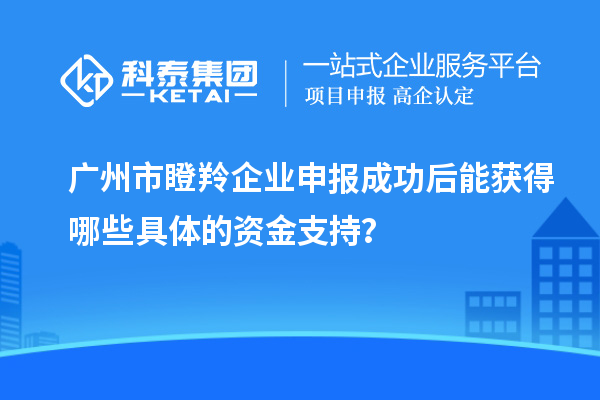 廣州市瞪羚企業(yè)申報成功后能獲得哪些具體的資金支持？