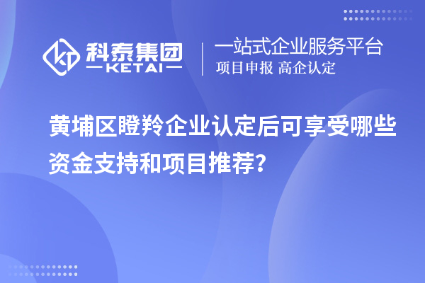黃埔區(qū)瞪羚企業(yè)認(rèn)定后可享受哪些資金支持和項目推薦？