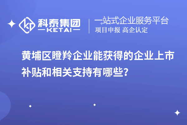 黃埔區(qū)瞪羚企業(yè)能獲得的企業(yè)上市補(bǔ)貼和相關(guān)支持有哪些？