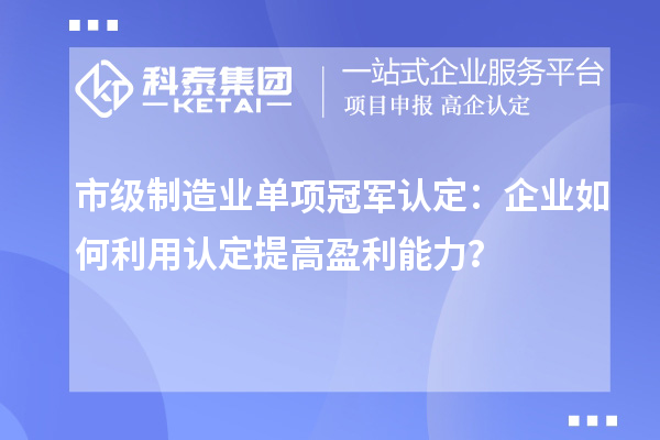 市級制造業(yè)單項冠軍認定：企業(yè)如何利用認定提高盈利能力？