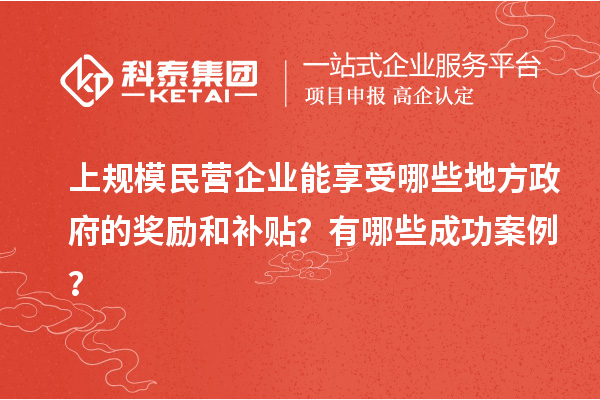 上規(guī)模民營企業(yè)能享受哪些地方政府的獎勵和補(bǔ)貼？有哪些成功案例？