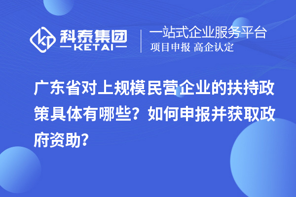 廣東省對(duì)上規(guī)模民營(yíng)企業(yè)的扶持政策具體有哪些？如何申報(bào)并獲取政府資助？
