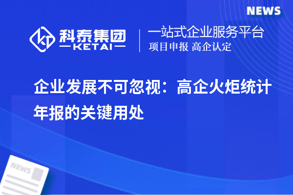 企業(yè)發(fā)展不可忽視:高企火炬統(tǒng)計年報的關(guān)鍵用處
