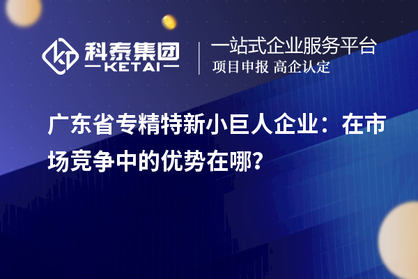 廣東省專精特新小巨人企業(yè)：在市場競爭中的優(yōu)勢在哪？