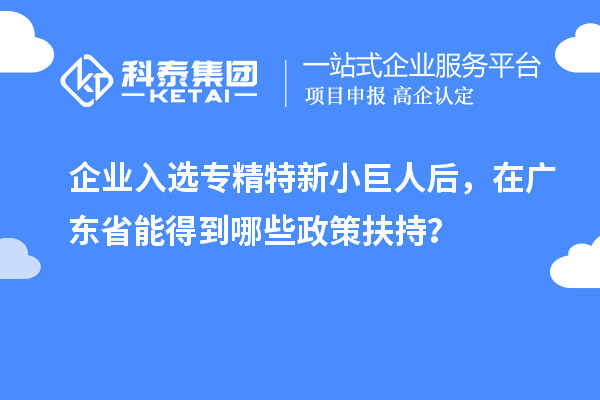 企業(yè)入選專精特新小巨人后，在廣東省能得到哪些政策扶持？
