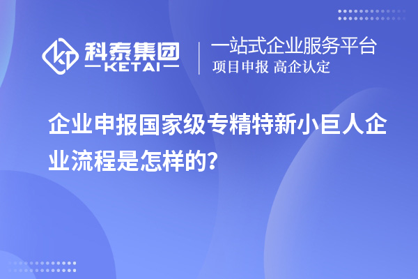 企業(yè)申報(bào)國(guó)家級(jí)專(zhuān)精特新小巨人企業(yè)流程是怎樣的？