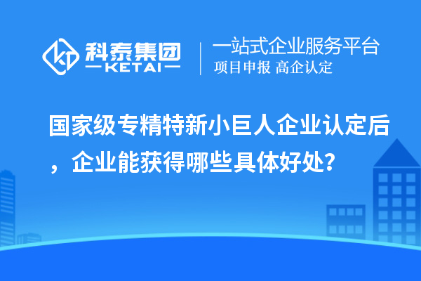 國家級專精特新小巨人企業(yè)認定后，企業(yè)能獲得哪些具體好處？
