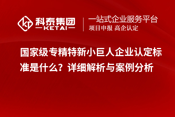 國家級專精特新小巨人企業(yè)認定標準是什么？詳細解析與案例分析
