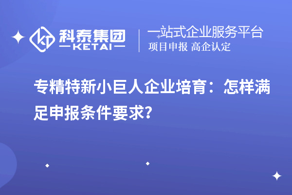 專精特新小巨人企業(yè)培育：怎樣滿足申報(bào)條件要求？