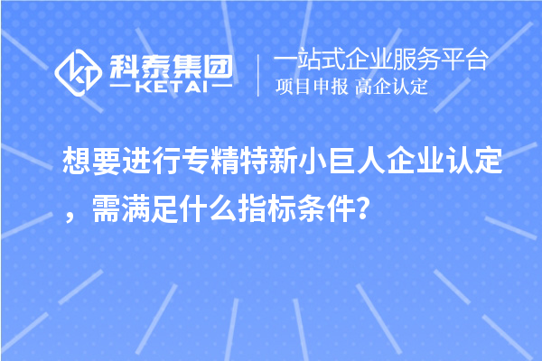 想要進(jìn)行專精特新小巨人企業(yè)認(rèn)定，需滿足什么指標(biāo)條件？