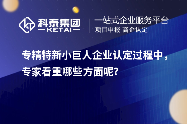 專精特新小巨人企業(yè)認定過程中，專家看重哪些方面呢？