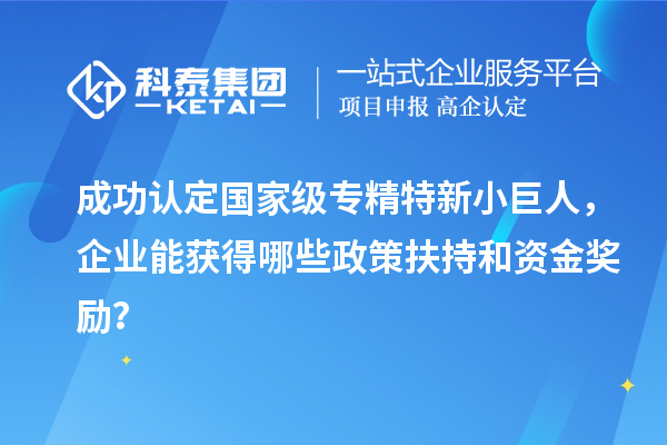 成功認(rèn)定國家級專精特新小巨人，企業(yè)能獲得哪些政策扶持和資金獎勵？