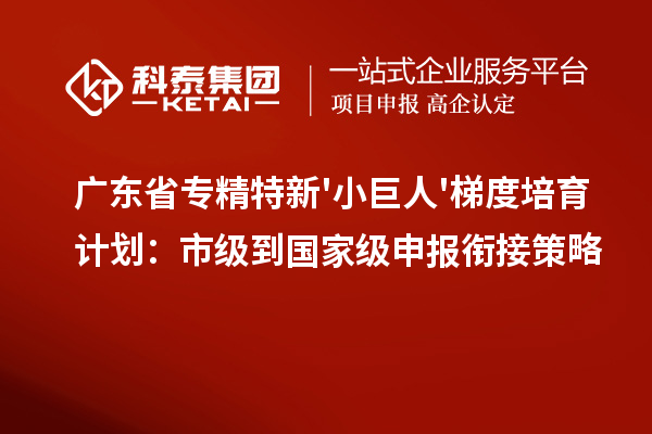 廣東省專(zhuān)精特新'小巨人'梯度培育計(jì)劃：市級(jí)到國(guó)家級(jí)申報(bào)銜接策略