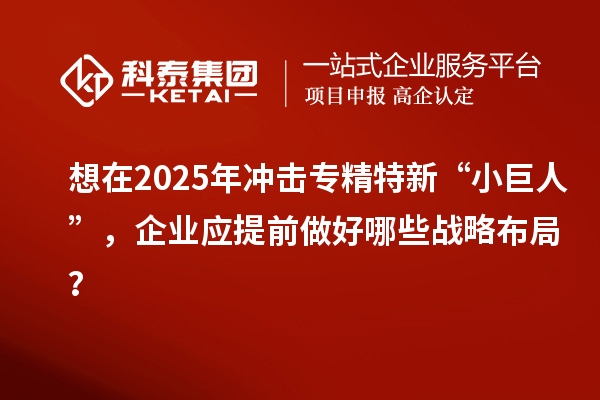 想在2025年沖擊專精特新 “小巨人”，企業(yè)應(yīng)提前做好哪些戰(zhàn)略布局？