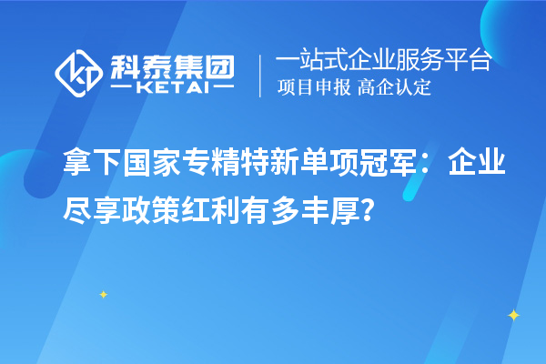 拿下國(guó)家專精特新單項(xiàng)冠軍：企業(yè)盡享政策紅利有多豐厚？