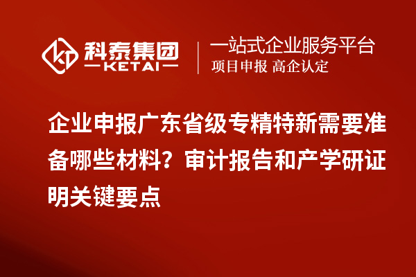 企業(yè)申報廣東省級專精特新需要準備哪些材料？審計報告和產學研證明關鍵要點