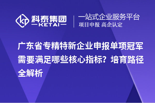 廣東省專精特新企業(yè)申報單項冠軍需要滿足哪些核心指標？培育路徑全解析