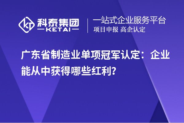 廣東省制造業(yè)單項冠軍認定：企業(yè)能從中獲得哪些紅利？