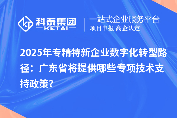 2025年專精特新企業(yè)數(shù)字化轉(zhuǎn)型路徑：廣東省將提供哪些專項(xiàng)技術(shù)支持政策？
