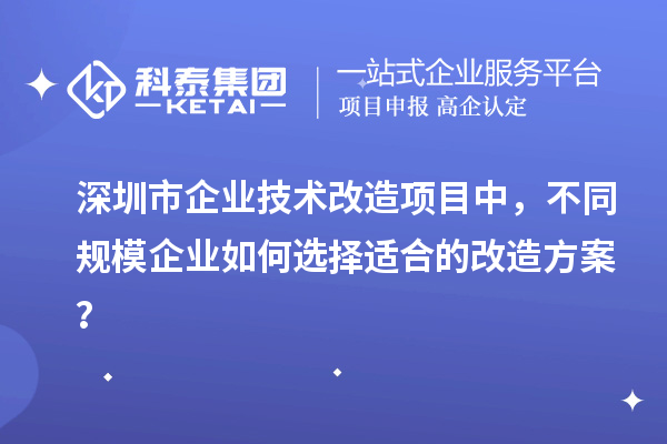 深圳市企業(yè)技術(shù)改造項(xiàng)目中，不同規(guī)模企業(yè)如何選擇適合的改造方案？