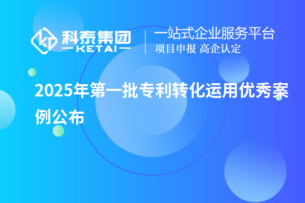 2025年第一批專利轉(zhuǎn)化運(yùn)用優(yōu)秀案例公布
