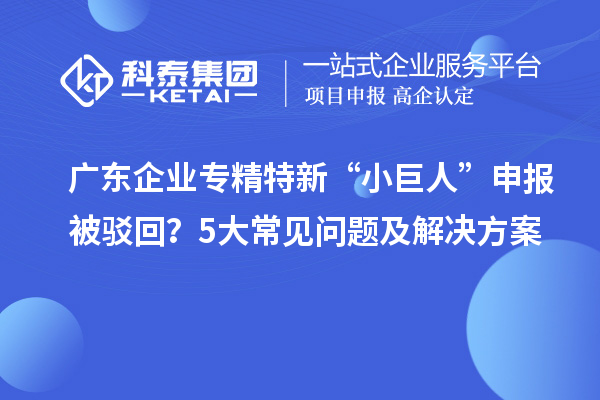 廣東企業(yè)專精特新“小巨人”申報被駁回？5大常見問題及解決方案