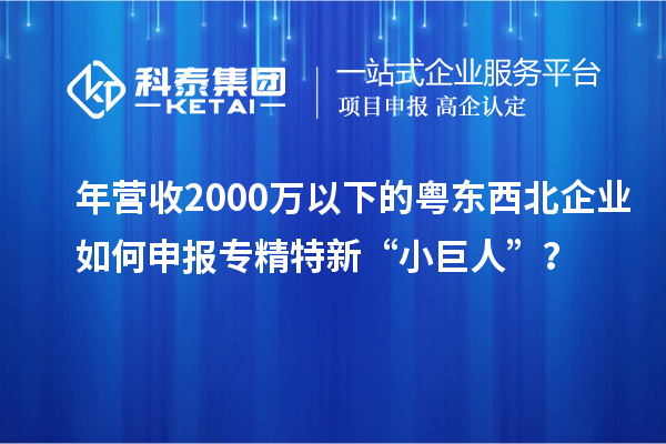 年?duì)I收2000萬以下的粵東西北企業(yè)如何申報(bào)專精特新“小巨人”？