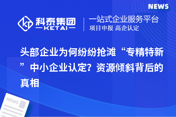 頭部企業(yè)為何紛紛搶灘“專精特新”中小企業(yè)認(rèn)定？資源傾斜背后的真相