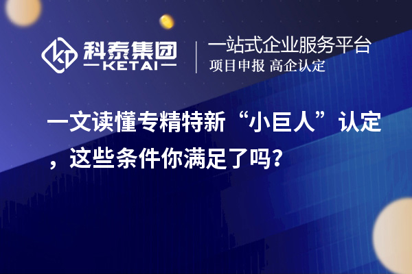 一文讀懂專精特新“小巨人”認定，這些條件你滿足了嗎？