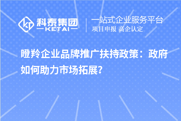 瞪羚企業(yè)品牌推廣扶持政策：政府如何助力市場拓展？