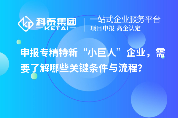申報專精特新“小巨人”企業(yè)，需要了解哪些關(guān)鍵條件與流程？