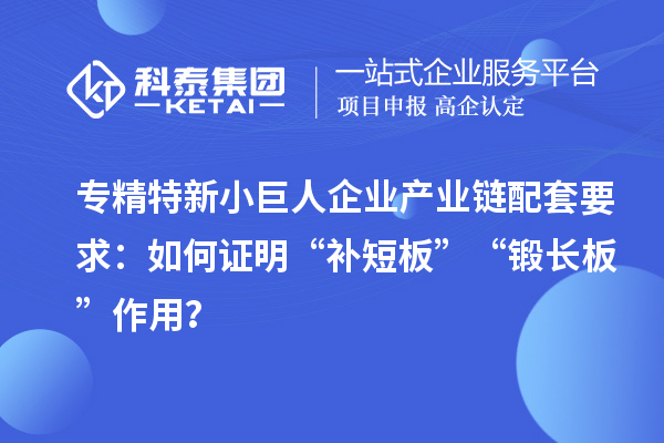 專精特新小巨人企業(yè)產(chǎn)業(yè)鏈配套要求：如何證明“補短板”“鍛長板”作用？