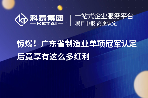 驚爆！廣東省制造業(yè)單項(xiàng)冠軍認(rèn)定后竟享有這么多紅利