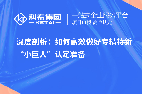 深度剖析:如何高效做好專精特新“小巨人”認定準備