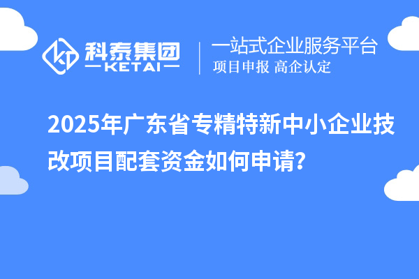 2025年廣東省專精特新中小企業(yè)技改項目配套資金如何申請？