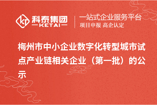 梅州市中小企業(yè)數(shù)字化轉型城市試點產(chǎn)業(yè)鏈相關企業(yè)（第一批）的公示