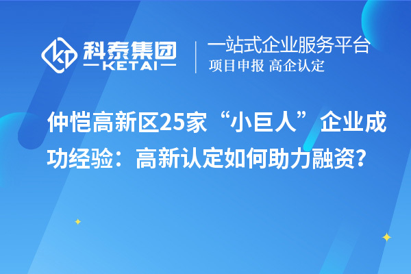 仲愷高新區(qū)25家“小巨人”企業(yè)成功經(jīng)驗：高新認定如何助力融資？