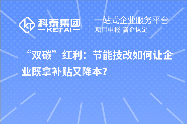 “雙碳”紅利：節(jié)能技改如何讓企業(yè)既拿補(bǔ)貼又降本？