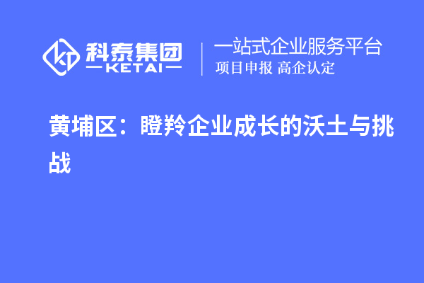 黃埔區(qū)：瞪羚企業(yè)成長的沃土與挑戰(zhàn)