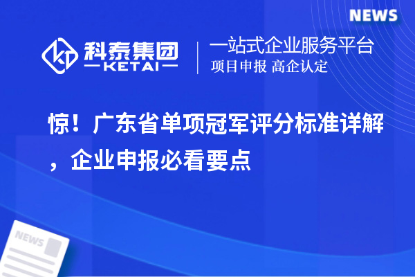 驚！廣東省單項冠軍評分標準詳解，企業(yè)申報必看要點