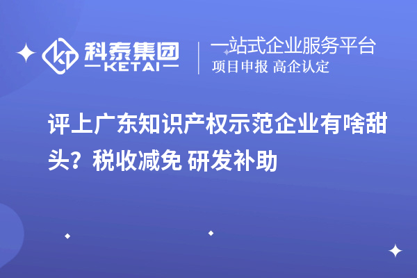評(píng)上廣東知識(shí)產(chǎn)權(quán)示范企業(yè)有啥甜頭？稅收減免+研發(fā)補(bǔ)助