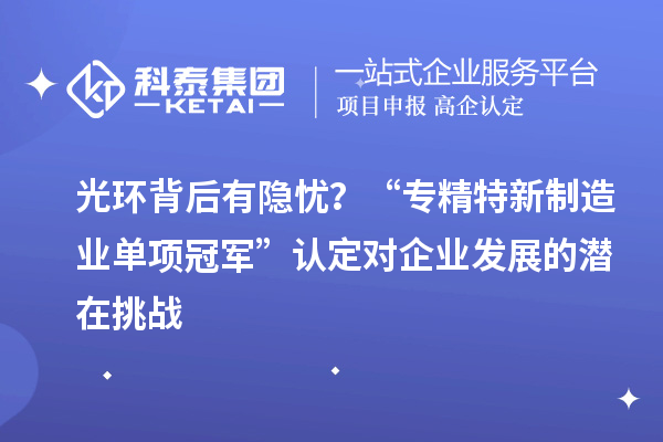 光環(huán)背后有隱憂？“專精特新制造業(yè)單項冠軍”認定對企業(yè)發(fā)展的潛在挑戰(zhàn)