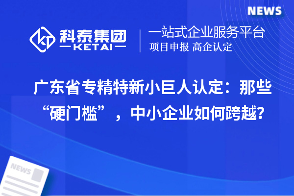 廣東省專精特新小巨人認(rèn)定：那些“硬門檻”，中小企業(yè)如何跨越？