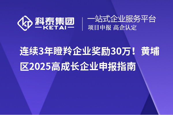 連續(xù)3年瞪羚企業(yè)獎勵30萬！黃埔區(qū)2025高成長企業(yè)申報指南