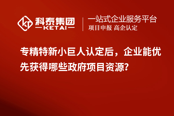 專精特新小巨人認(rèn)定后，企業(yè)能優(yōu)先獲得哪些政府項(xiàng)目資源？